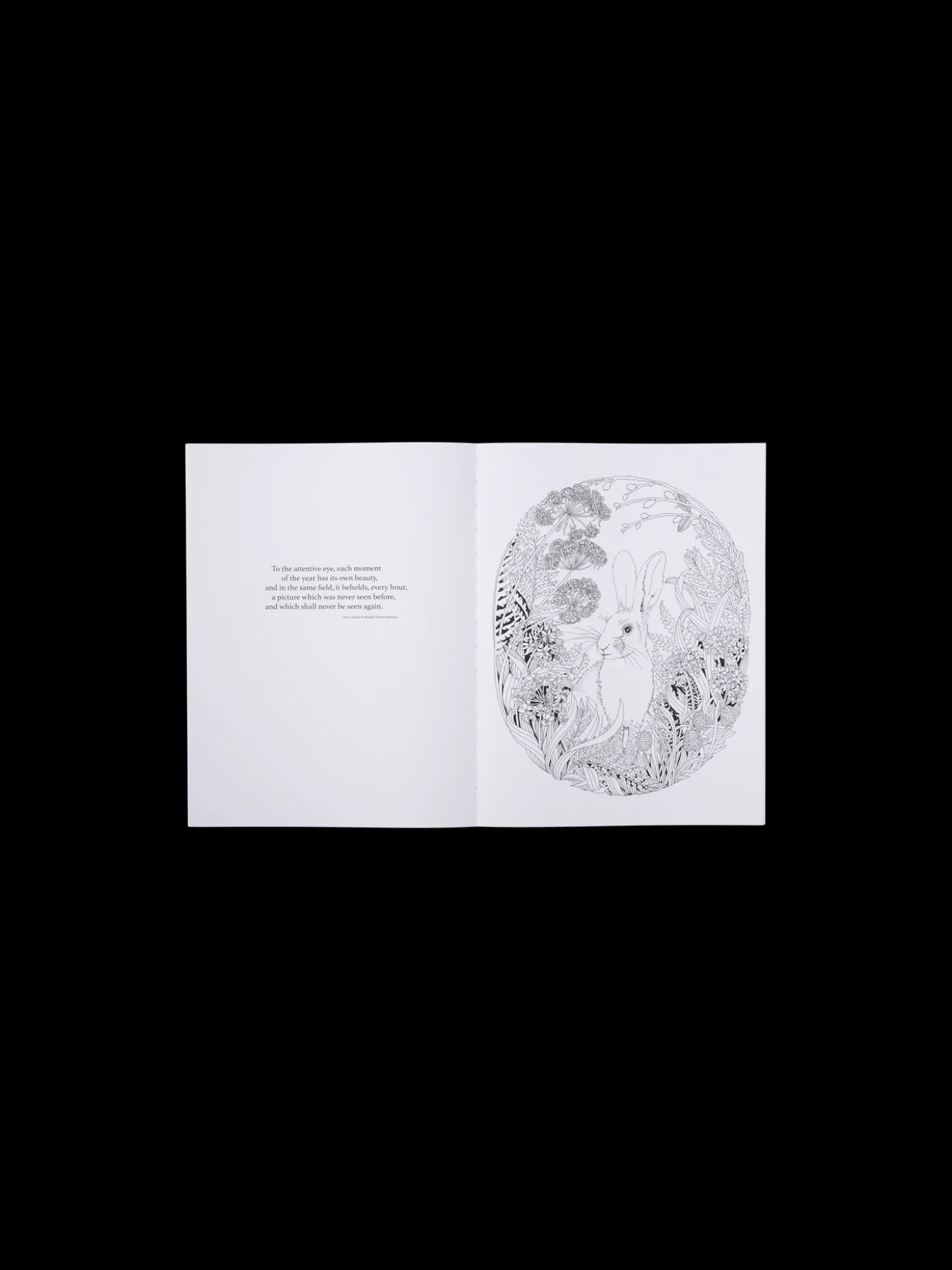 Beautiful Planet Colouring Book