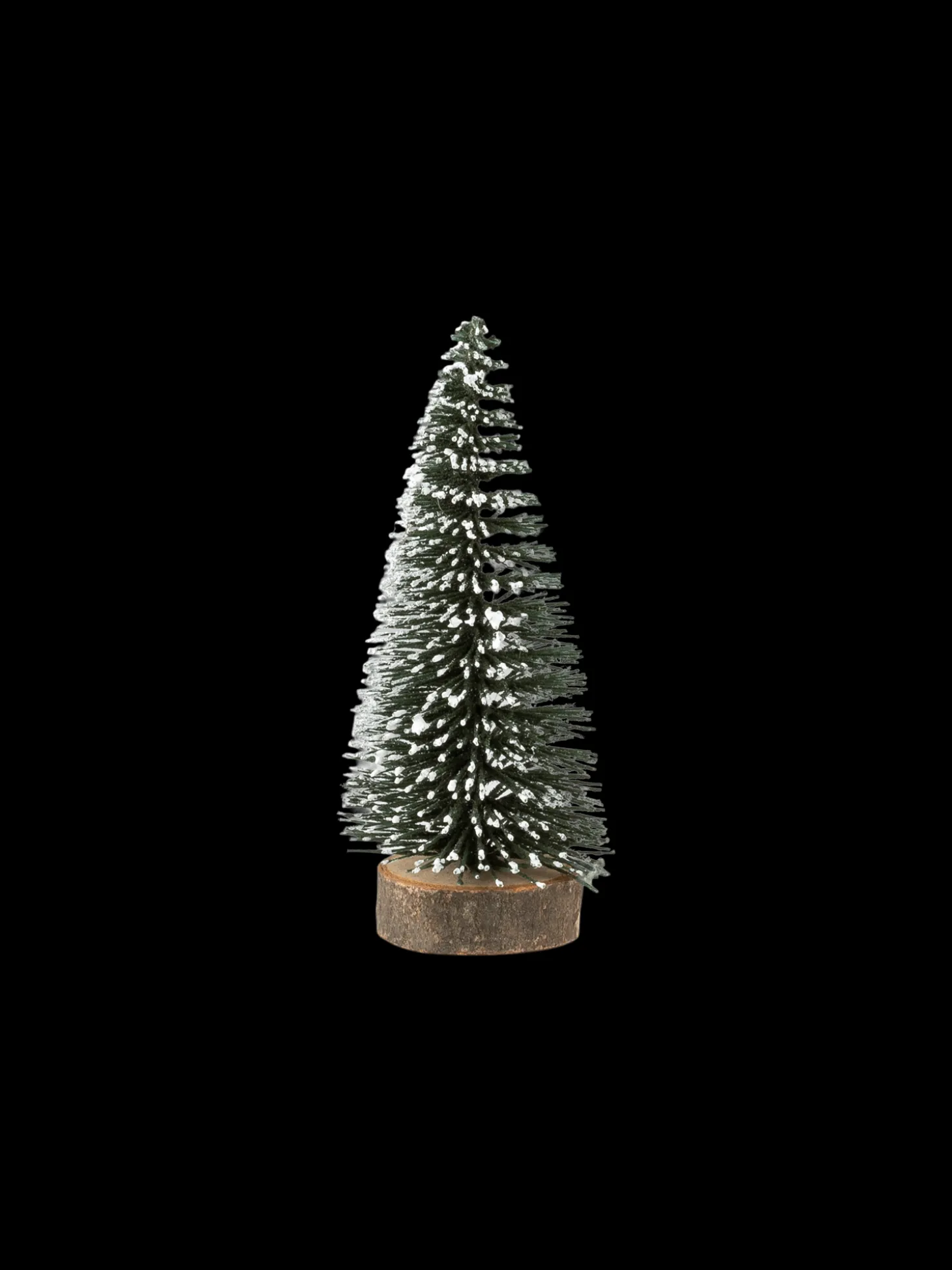 Juletræ Med Sne