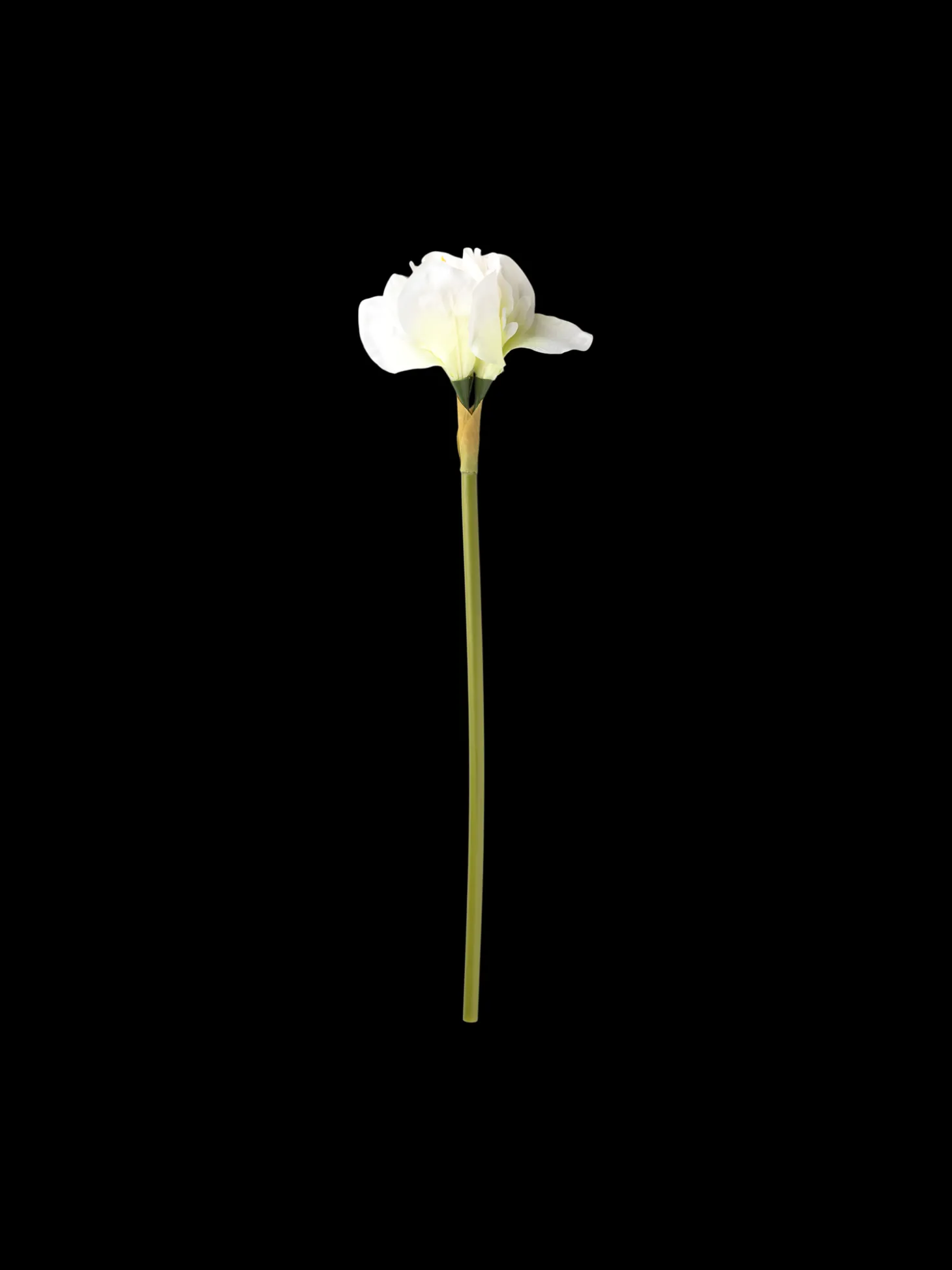 Kunstig Blomst