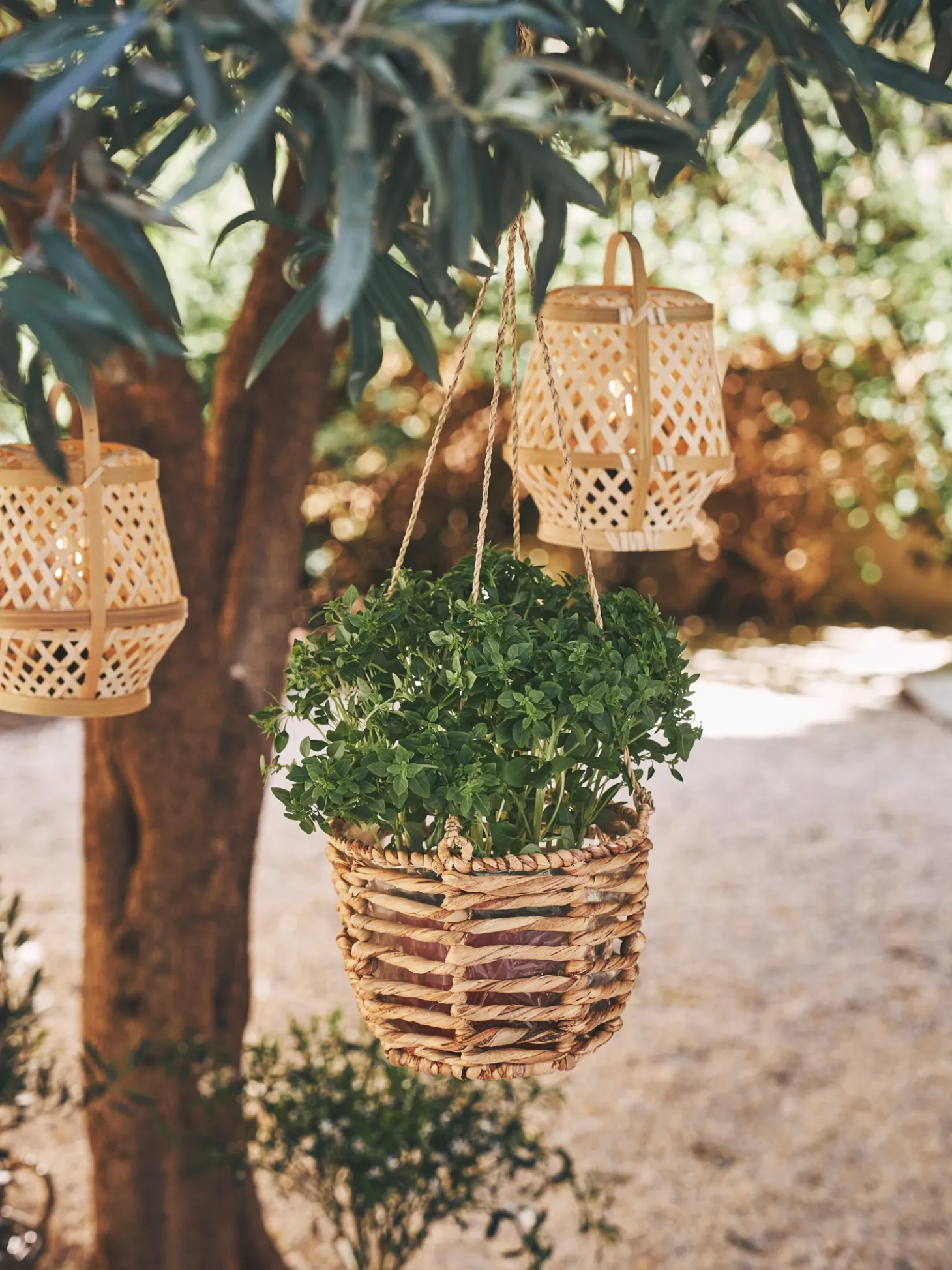 LED-bordlampe