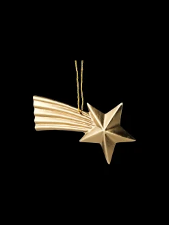 Ornament Med Stjerneskud
