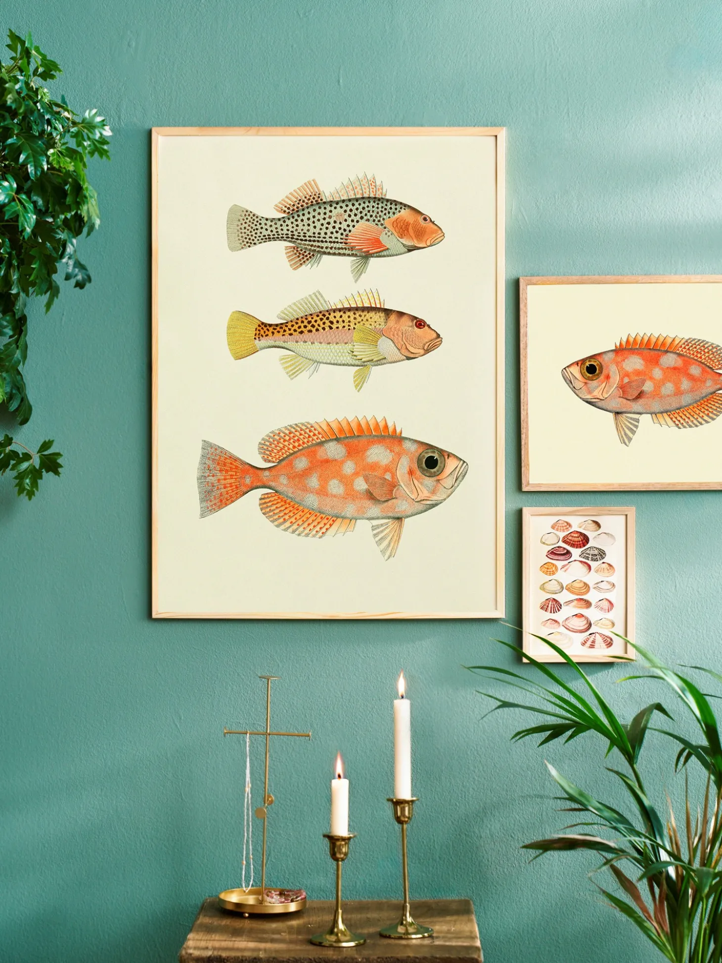 Plakat 50 X 70