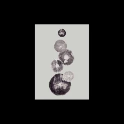 Plakat Mushroom - 4 Grey 40 X 50