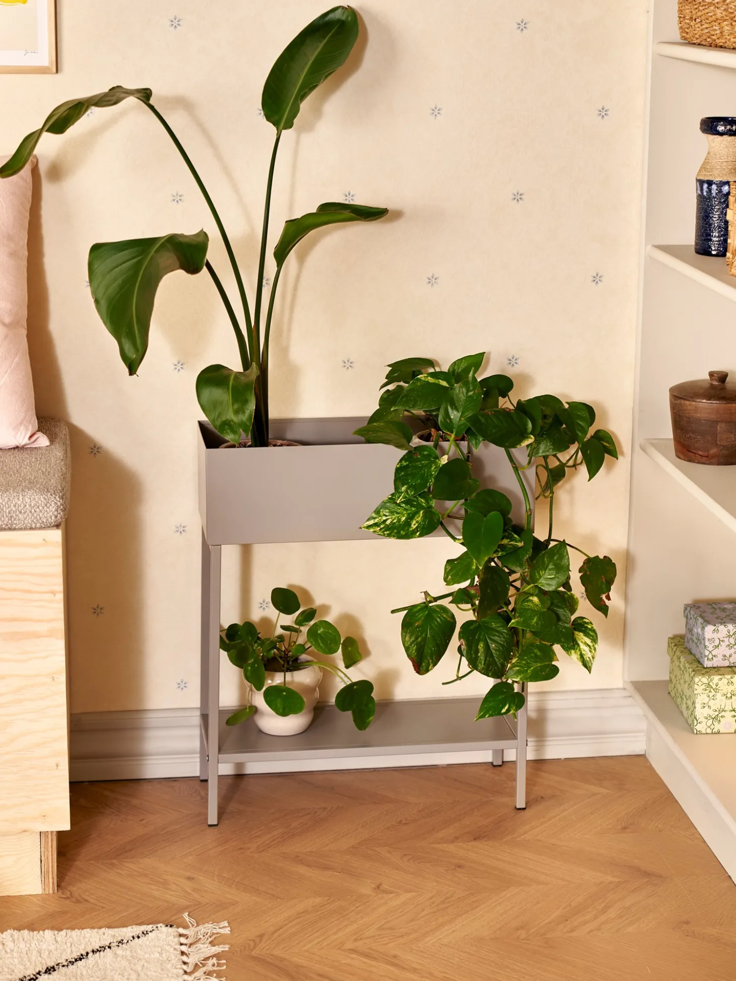Planteopsats