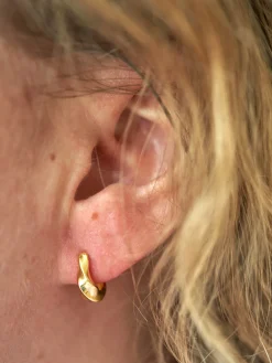 Rookie Hoops