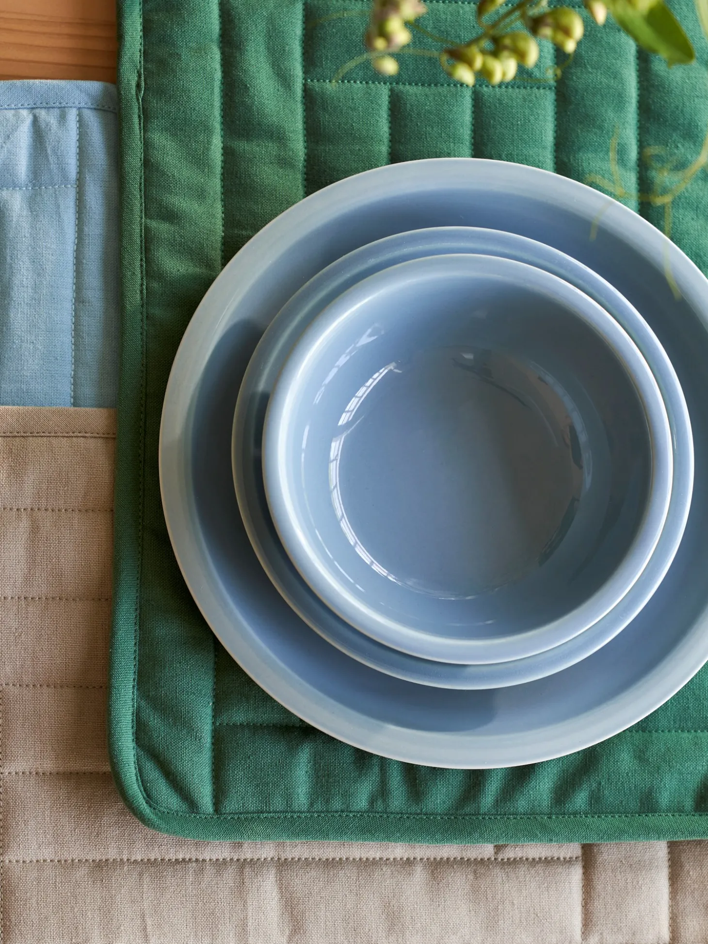 Skål
