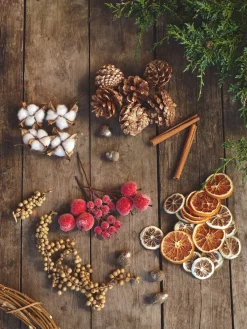 Sølvkogler