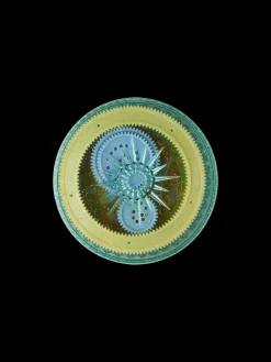 Spiraltegnesæt