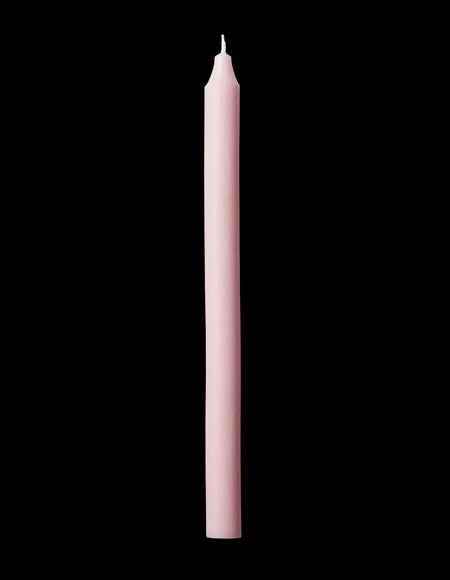 Stagelys 29 Cm