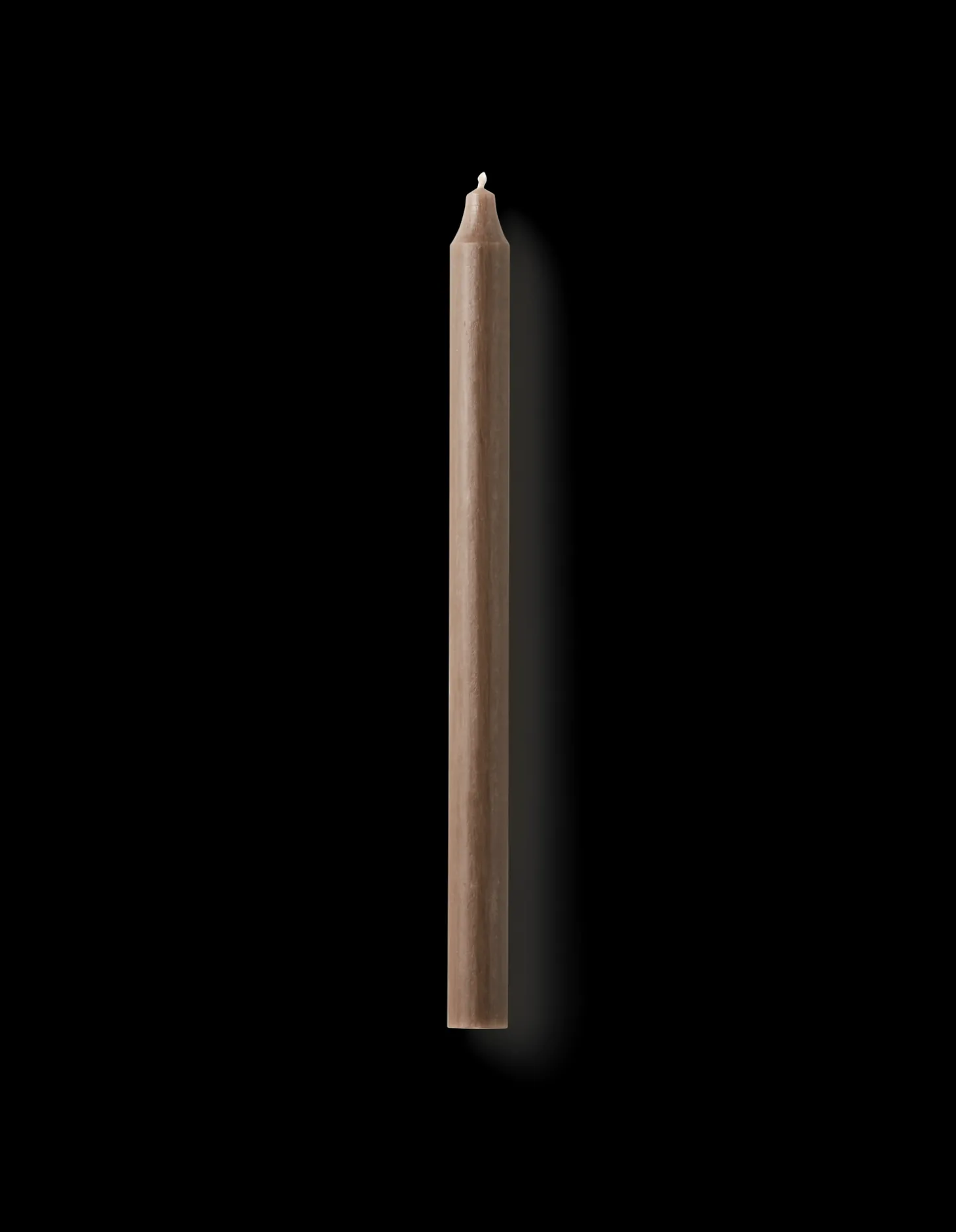 Stagelys 29 Cm