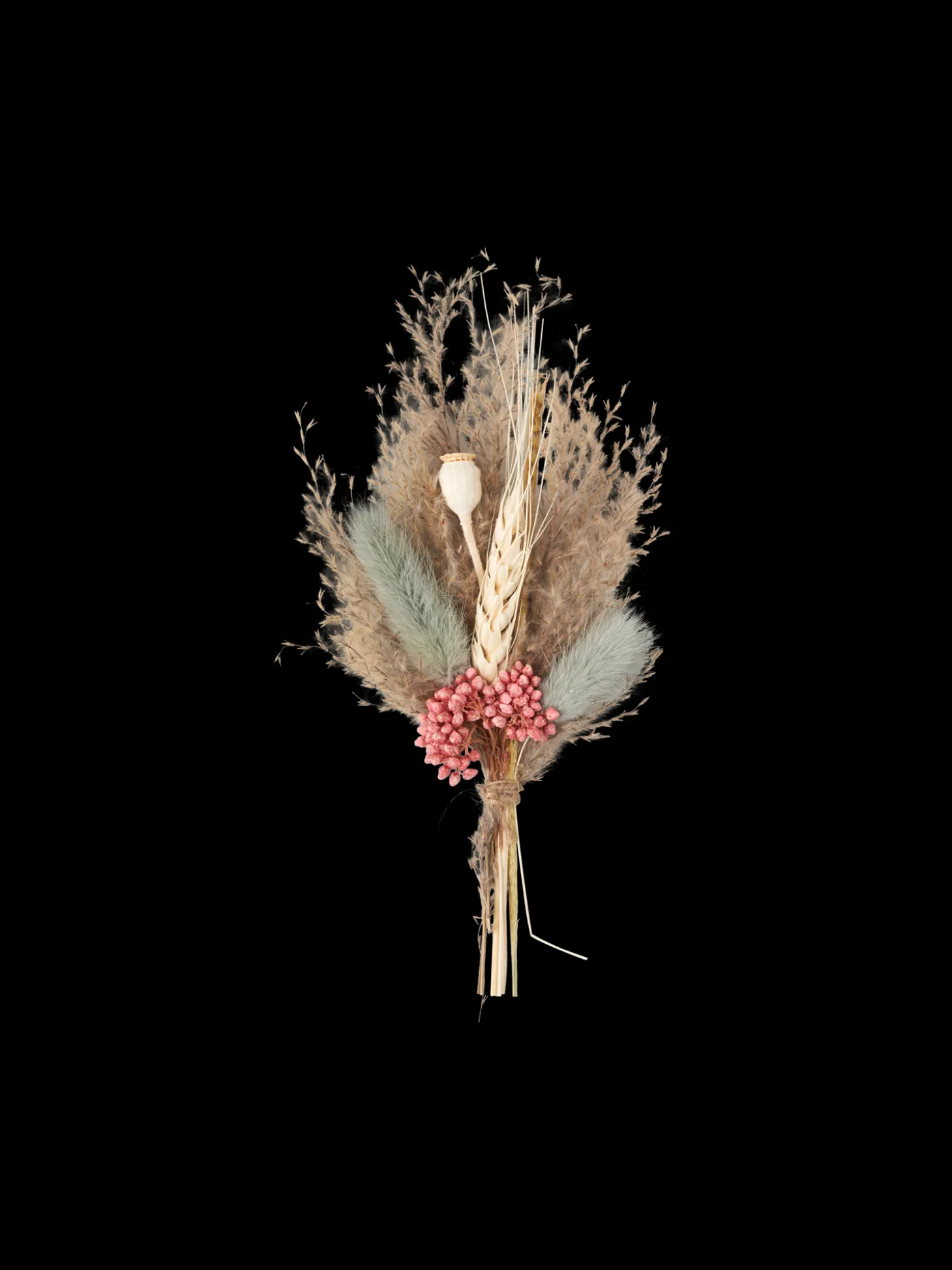 Tørrede Blomster Til DIY